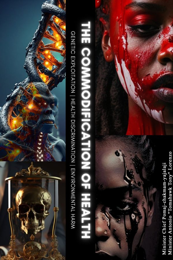 The Commodification of Health (Paperback)